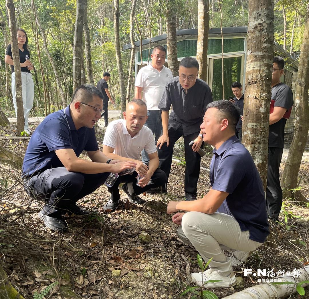 全国民族团结进步模范个人兰万棋：“一村一业”按下畲乡发展加速键