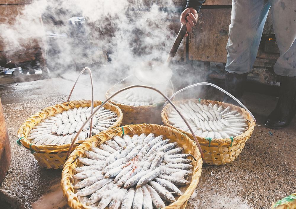夏日鳀鱼加工忙