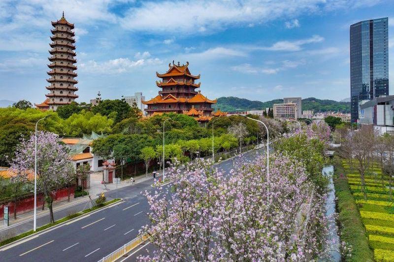 敬老爱老助老 福州5个集体和6名个人获全国表彰