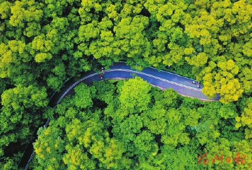 W020190819355223096721.jpg