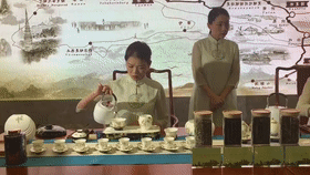 15730232278101.gif