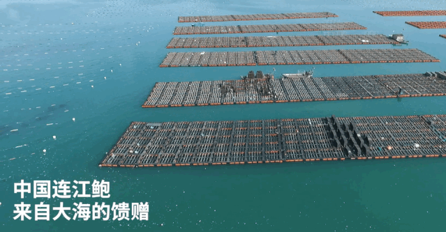 15829598046216.gif