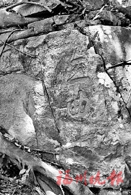 20200309_A06_02_42.jpg