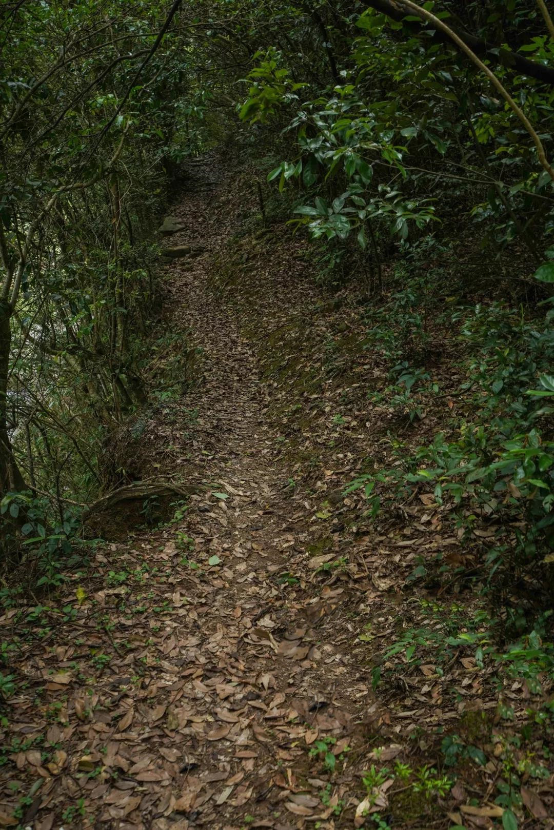 1583890334799360.jpg