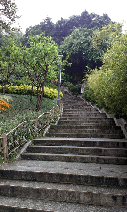 乌山南面登山道4.jpg