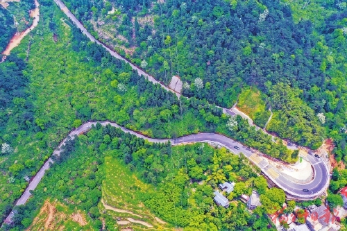 W020200531379749516475.jpg