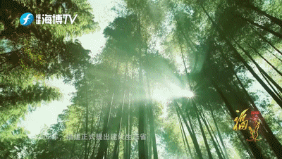 2.gif
