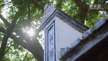 3.gif