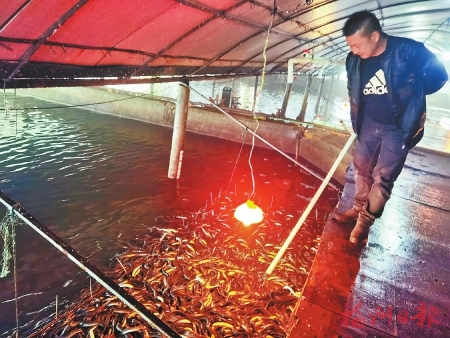 1644027881468388.jpg 2.jpg