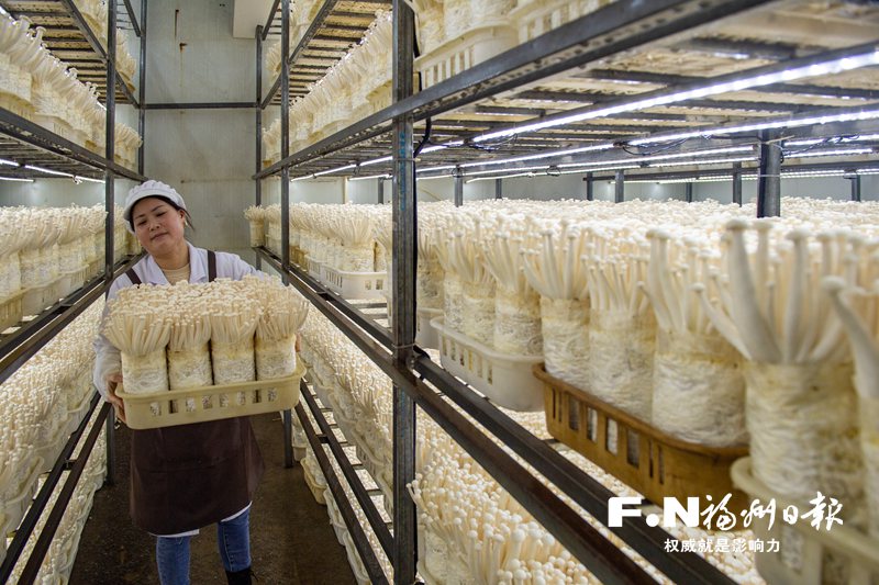 1647501090286605.jpg 5.jpg