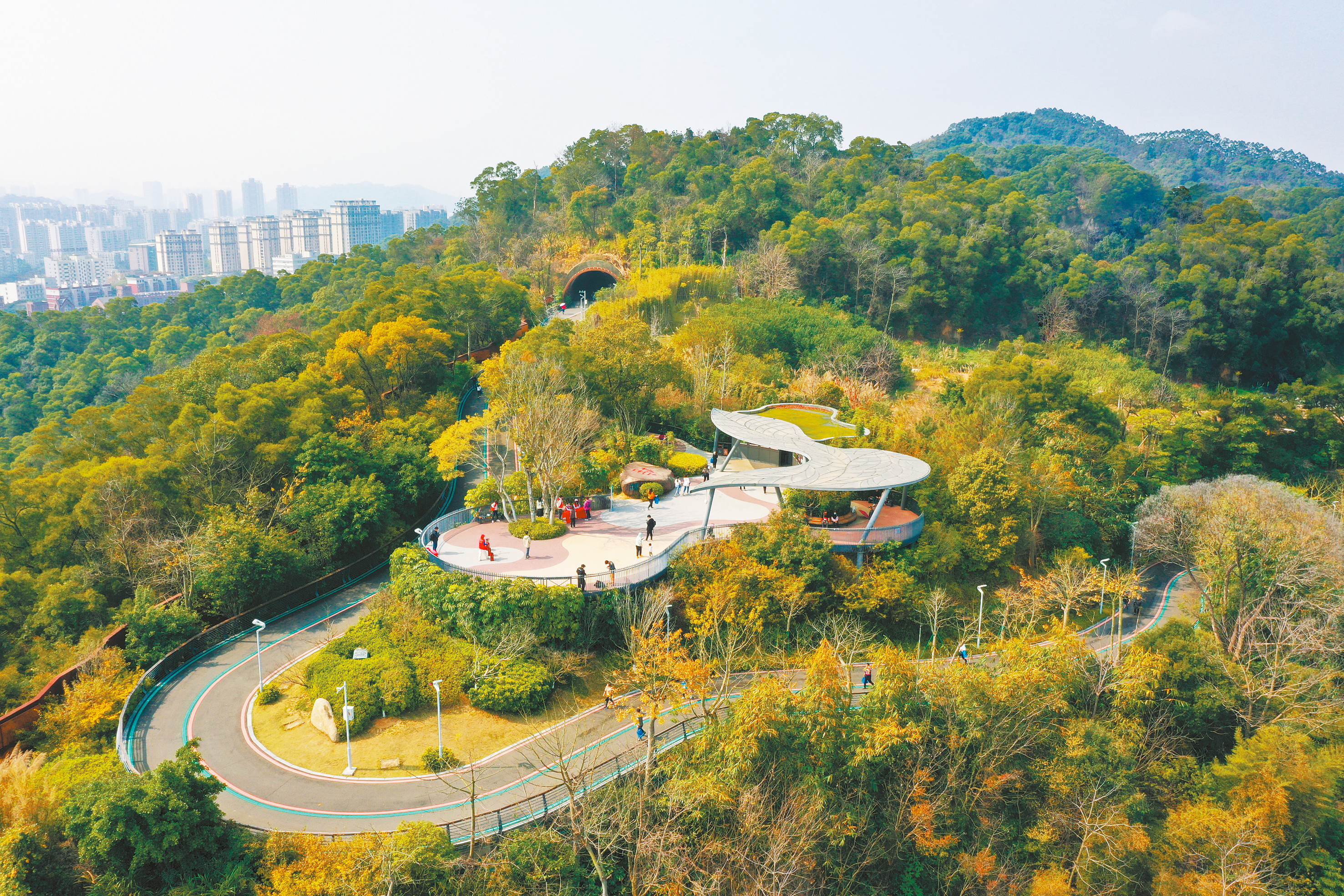 1647588268274832.png 1647588268274832.png