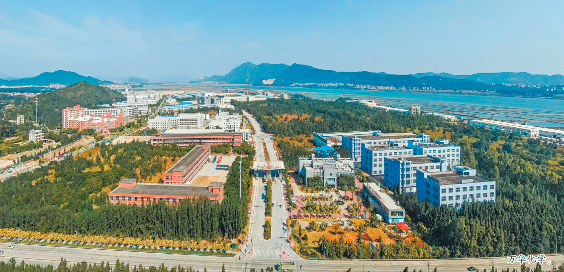 1647917476272114.png 1647917476272114.png