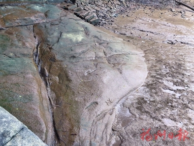 1651822154613934.jpg 20220502_001_03_36.jpg