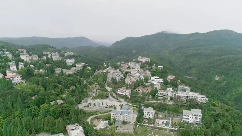 1655089378644056.jpeg 1.jpeg