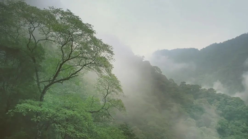 1655089401983882.jpeg 3.jpeg