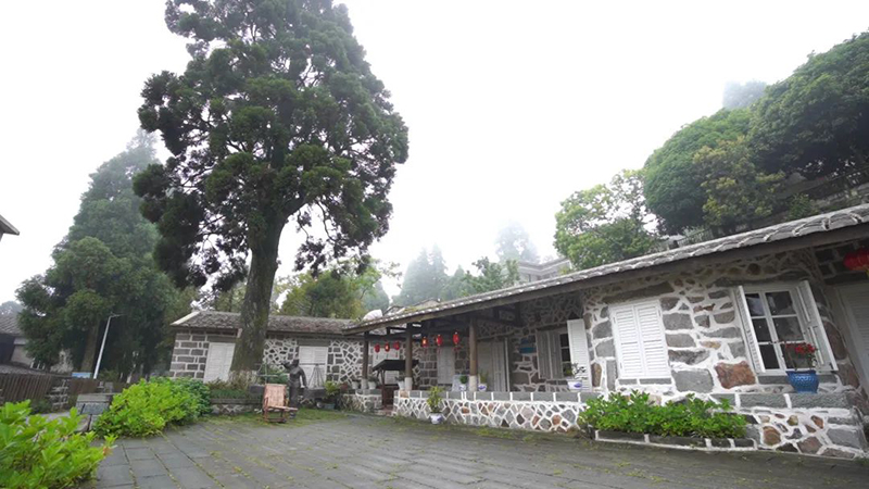 1655089600991477.jpeg 18.jpeg