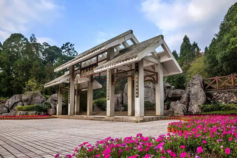 1655089643311835.jpeg 21.jpeg