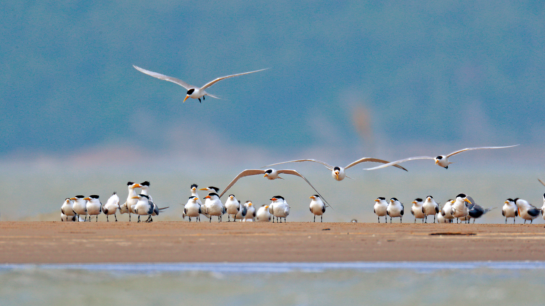 1655688135893569.png 1655688135893569.png