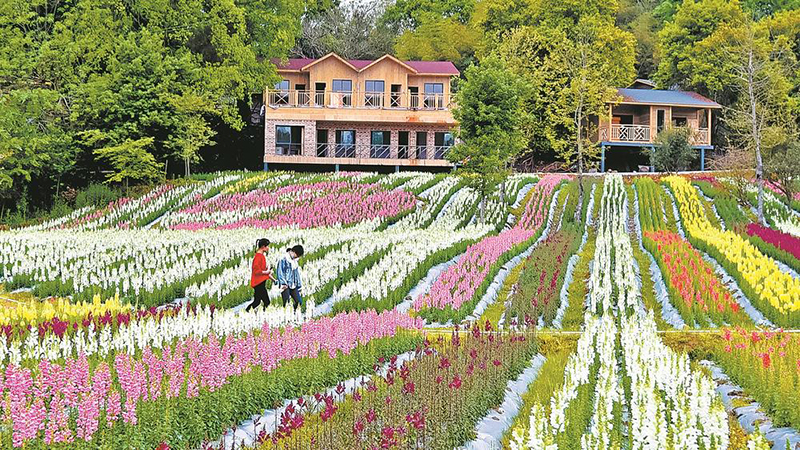 1655859502798900.jpg 6.jpg