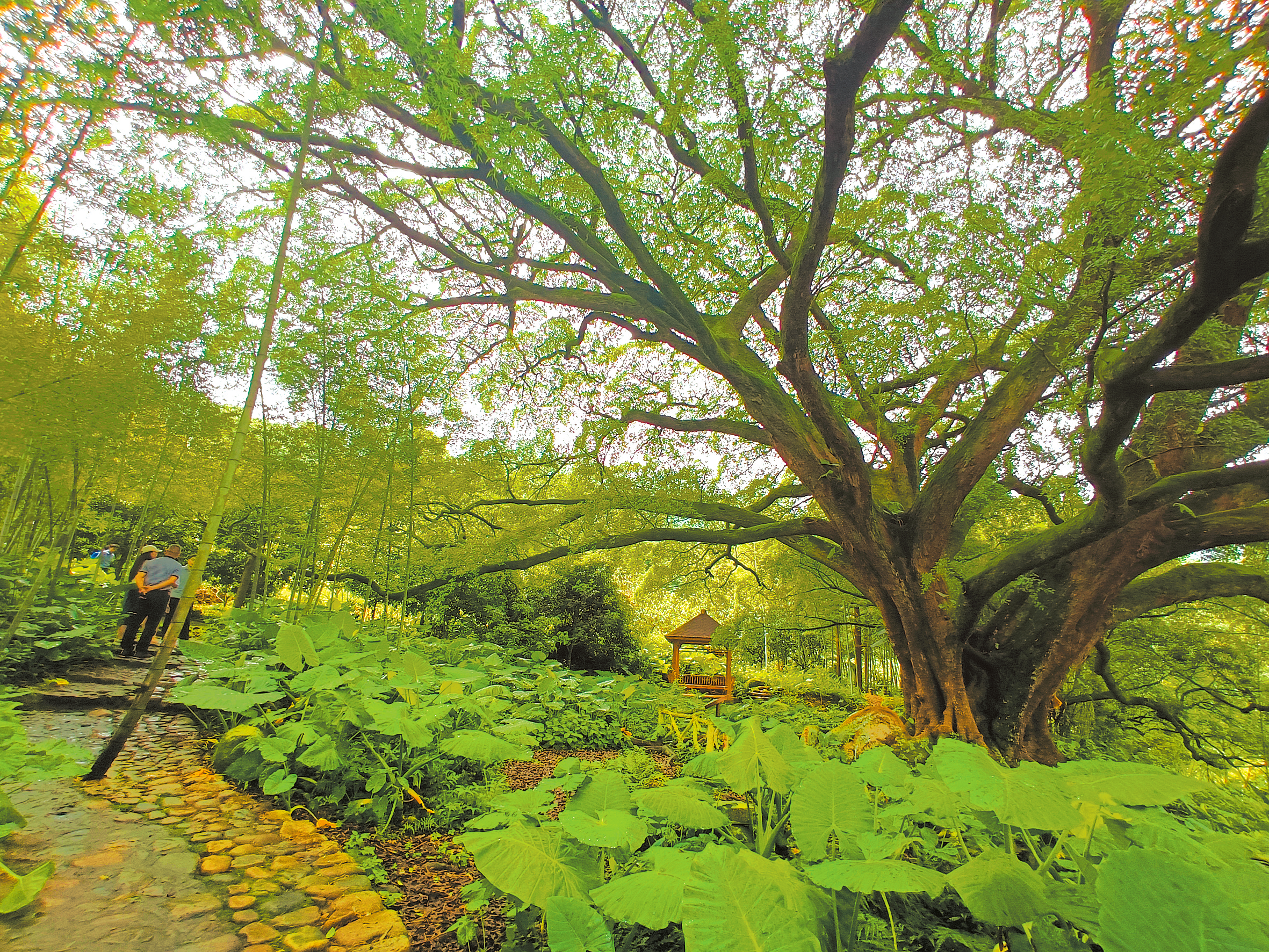 1656982837126187.png 1656982837126187.png