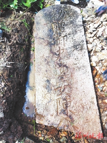 1658113518649928.jpg 1.jpg