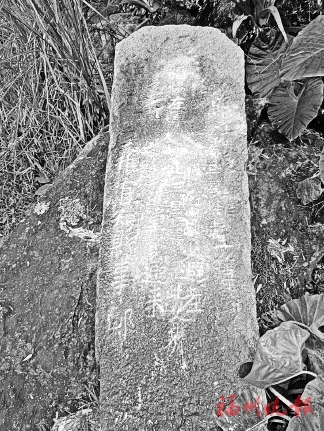 20220819_A14_01_1.jpg