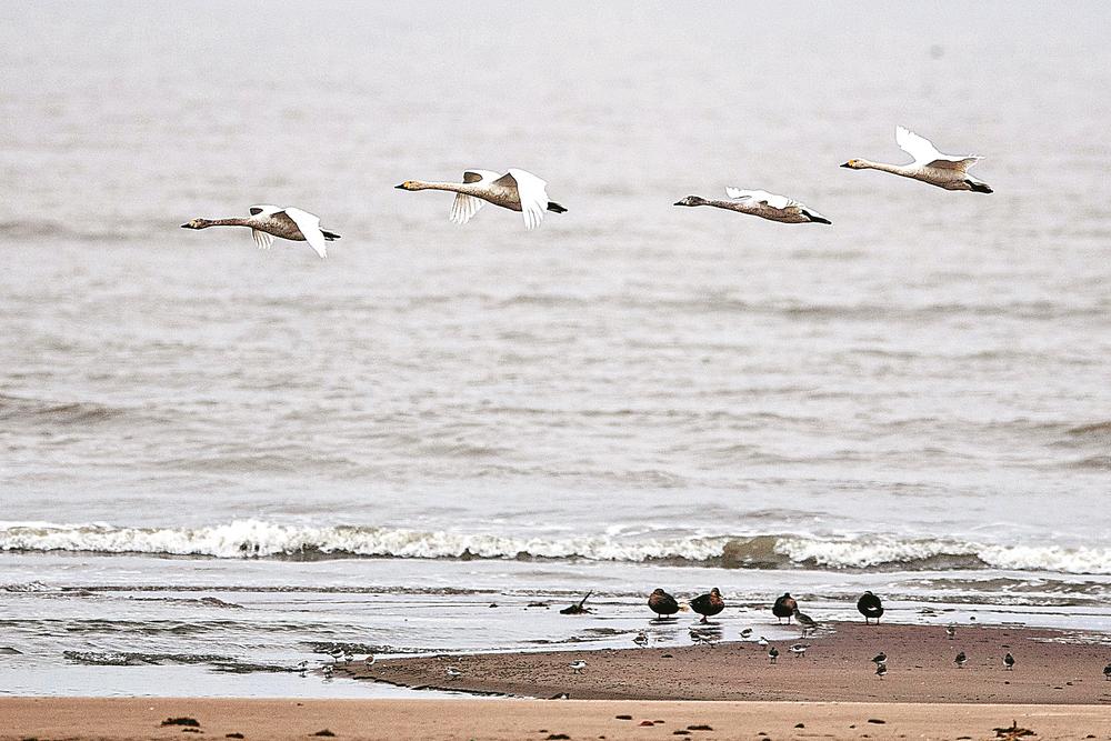 1661215554307552.jpg 1661215554307552.jpg