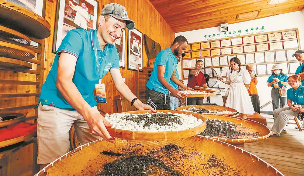 1664154160519616.jpg 1664154160519616.jpg