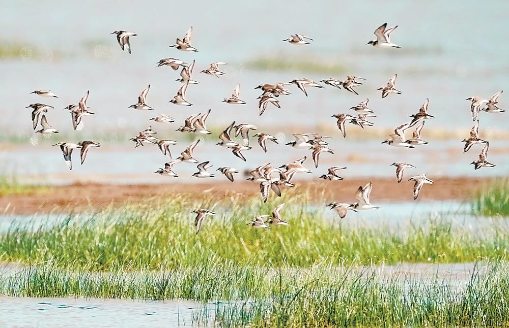 1665195568526613.jpg 1665195568526613.jpg