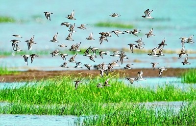 1665197159903860.jpg 1.jpg