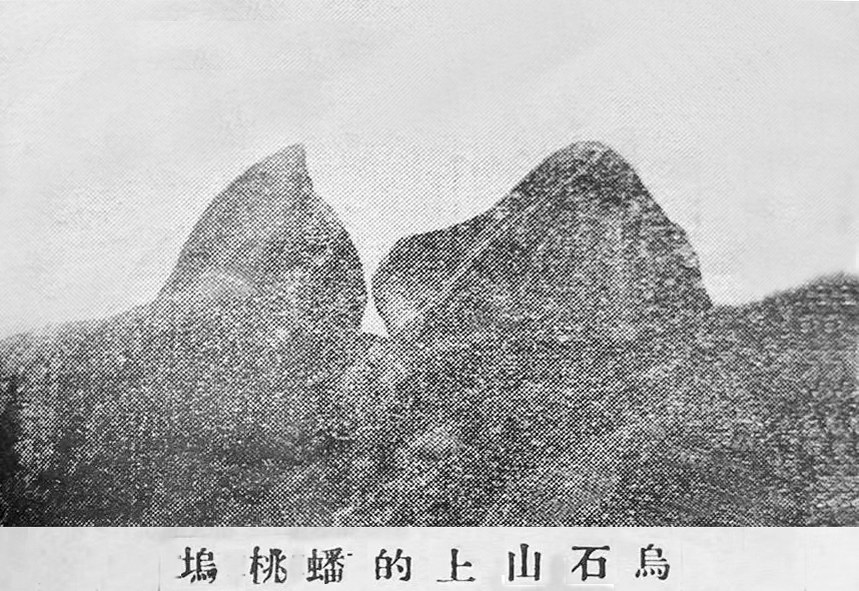 1665214022576854.png