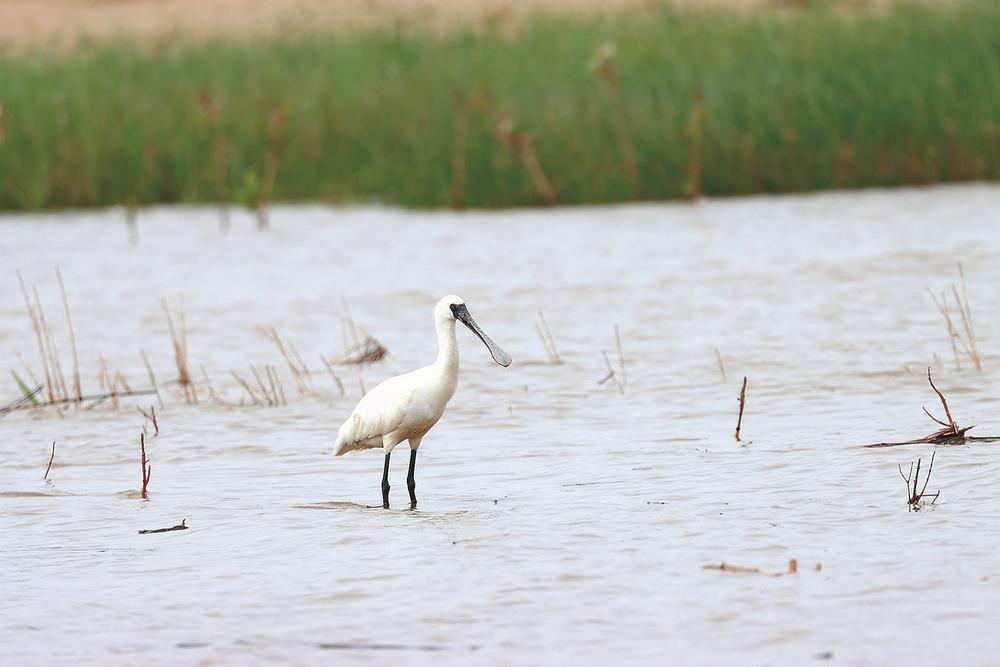 1665364286355789.jpg 1665364286355789.jpg