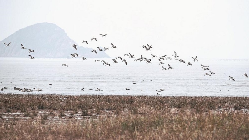 1675390162233725.jpg 1.jpg