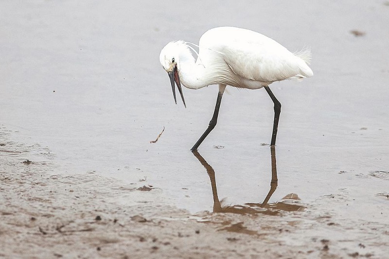 1675390169679067.jpg 2.jpg