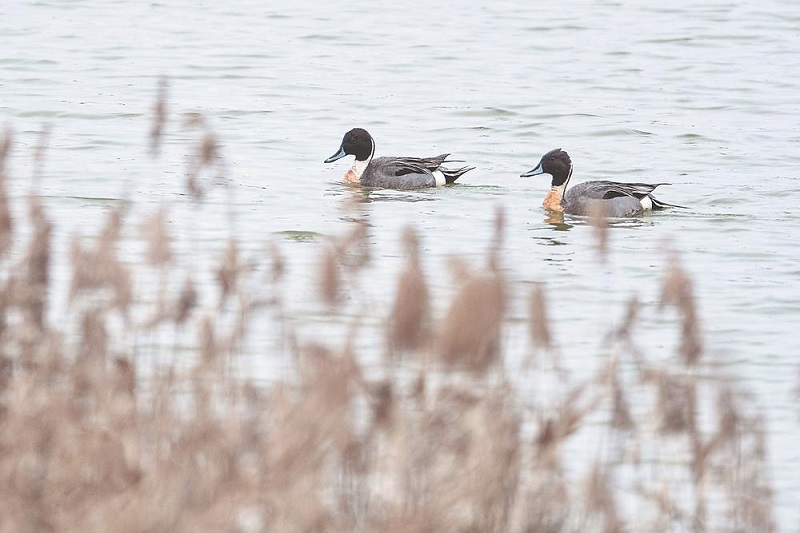 1675390182288632.jpg 4.jpg