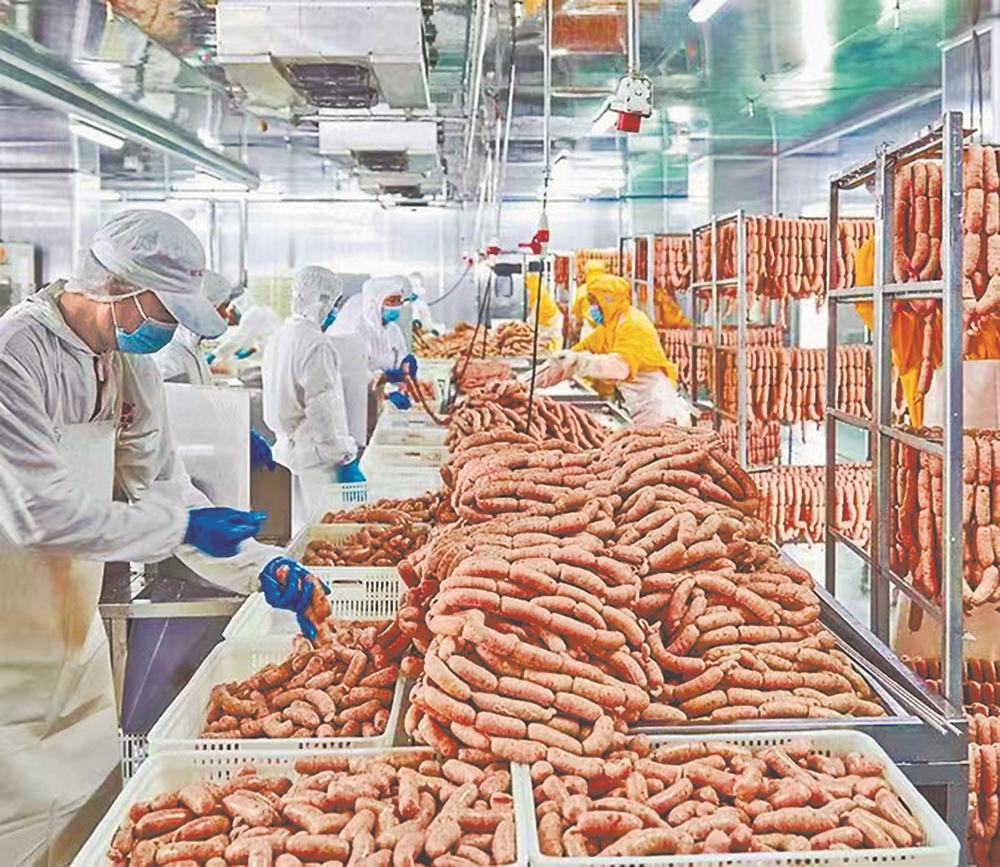 1677741148797537.jpg 1677741148797537.jpg