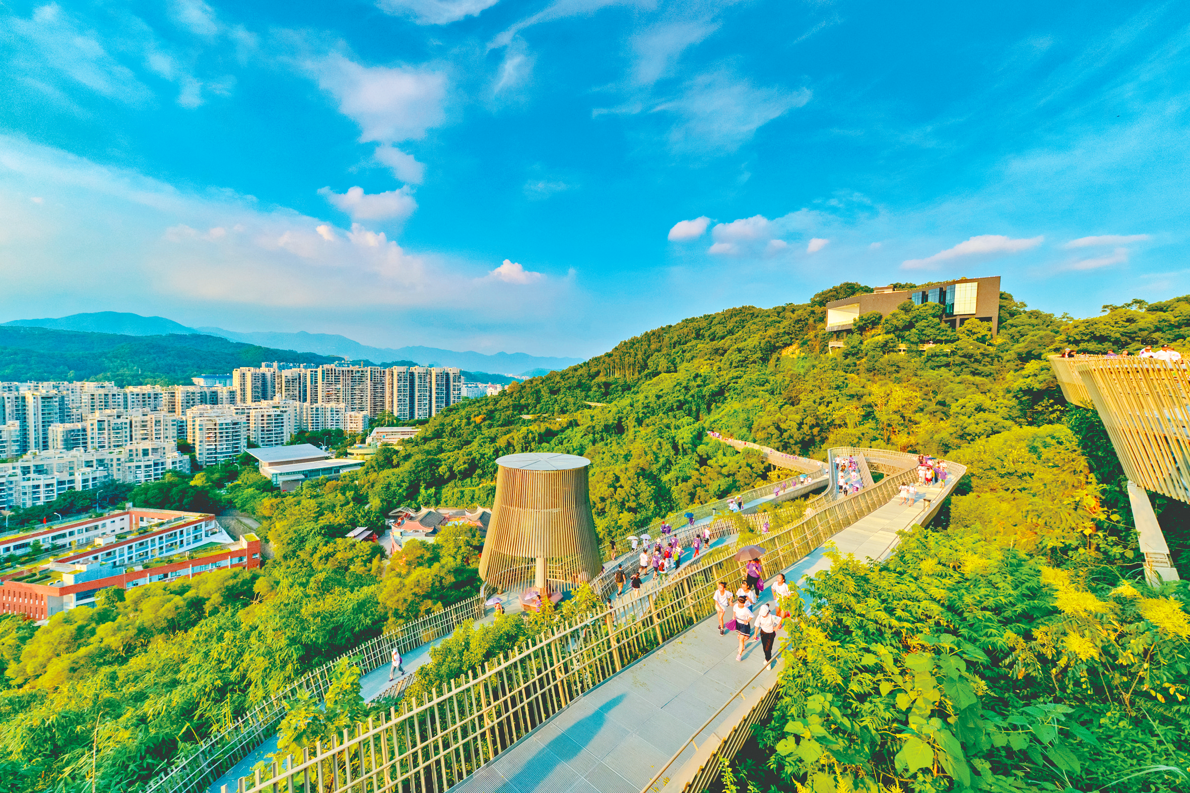 1683794373865186.png 1683794373865186.png