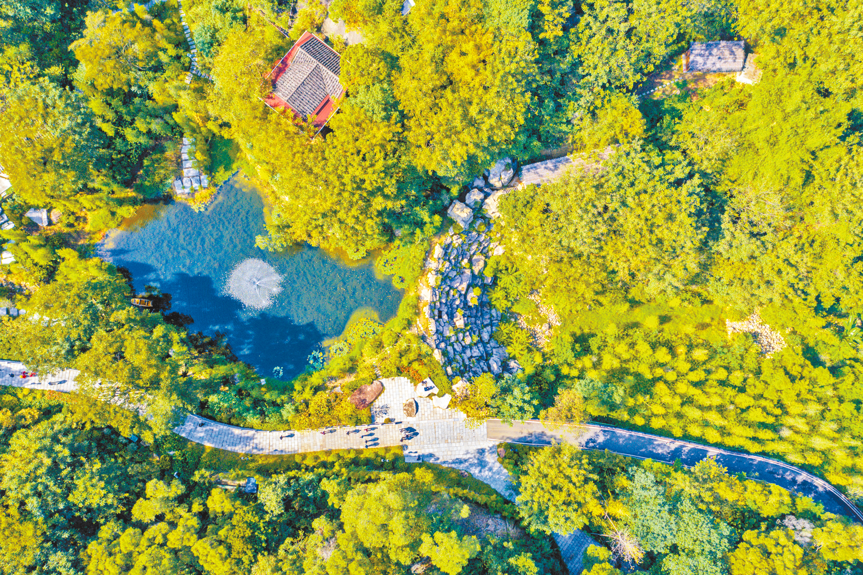 1683794392952715.png 1683794392952715.png