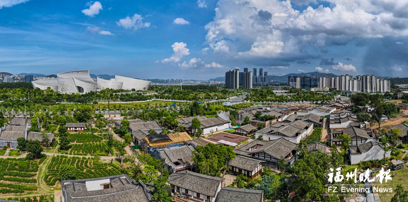 1691395044252742.jpg 4.jpg