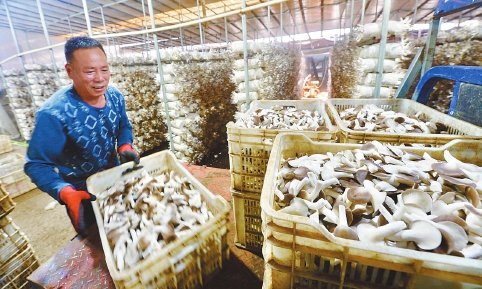 1697788711212172.jpg 3.jpg