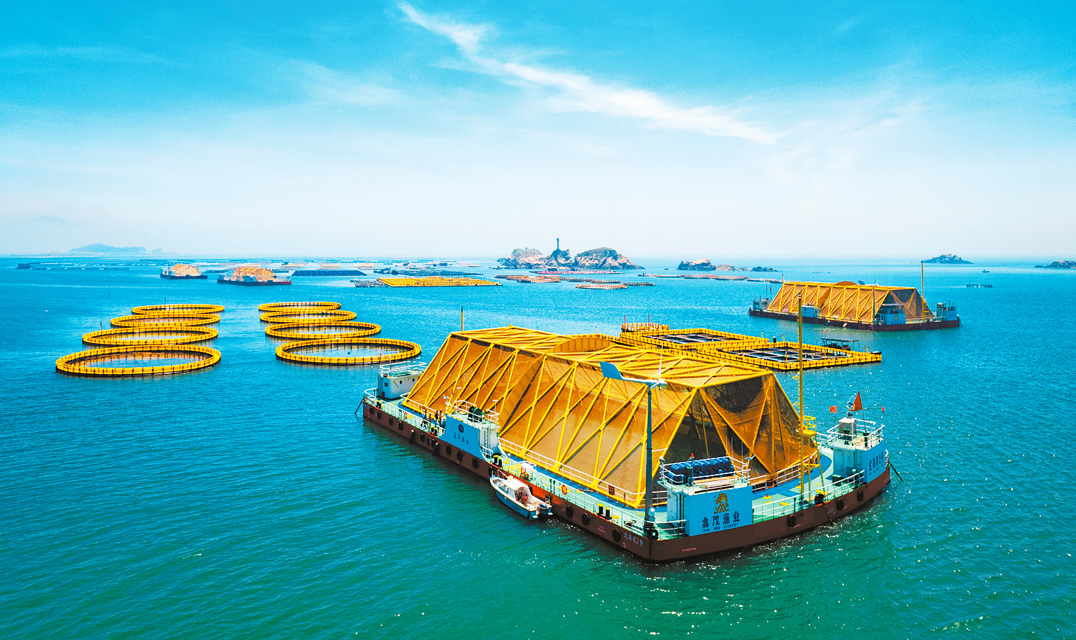 1698655114906999.png 1698655114906999.png