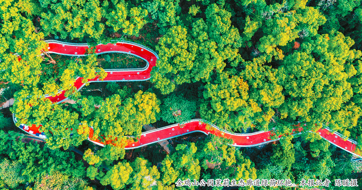 1698734880140487.png 1698734880140487.png