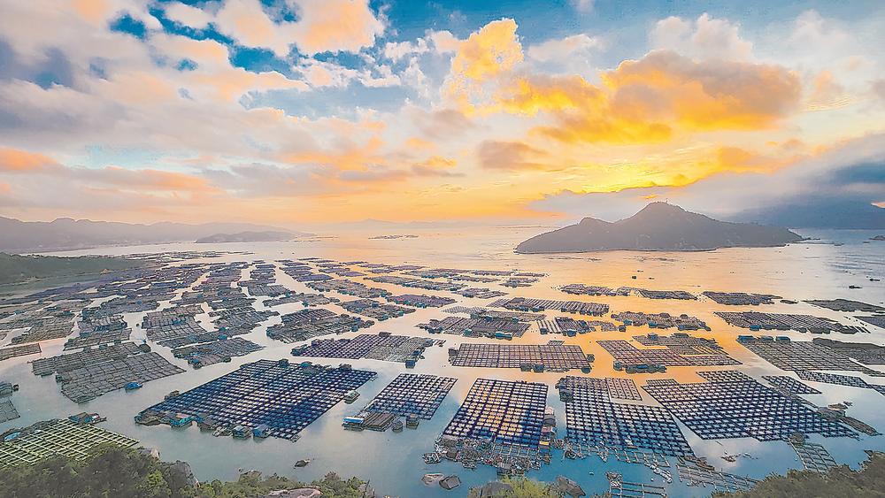 1712629413293698.jpg 1712629413293698.jpg