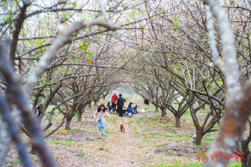 1738914113636596.jpg 20250207_001_04_45.jpg