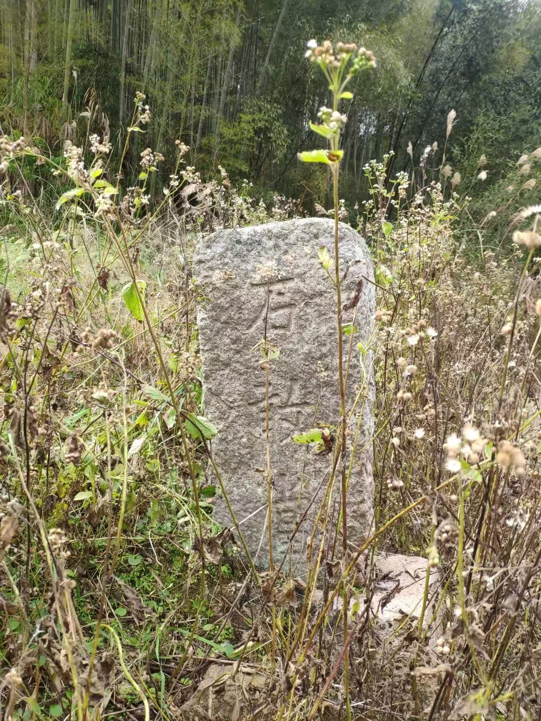 1752224513863568.jpg