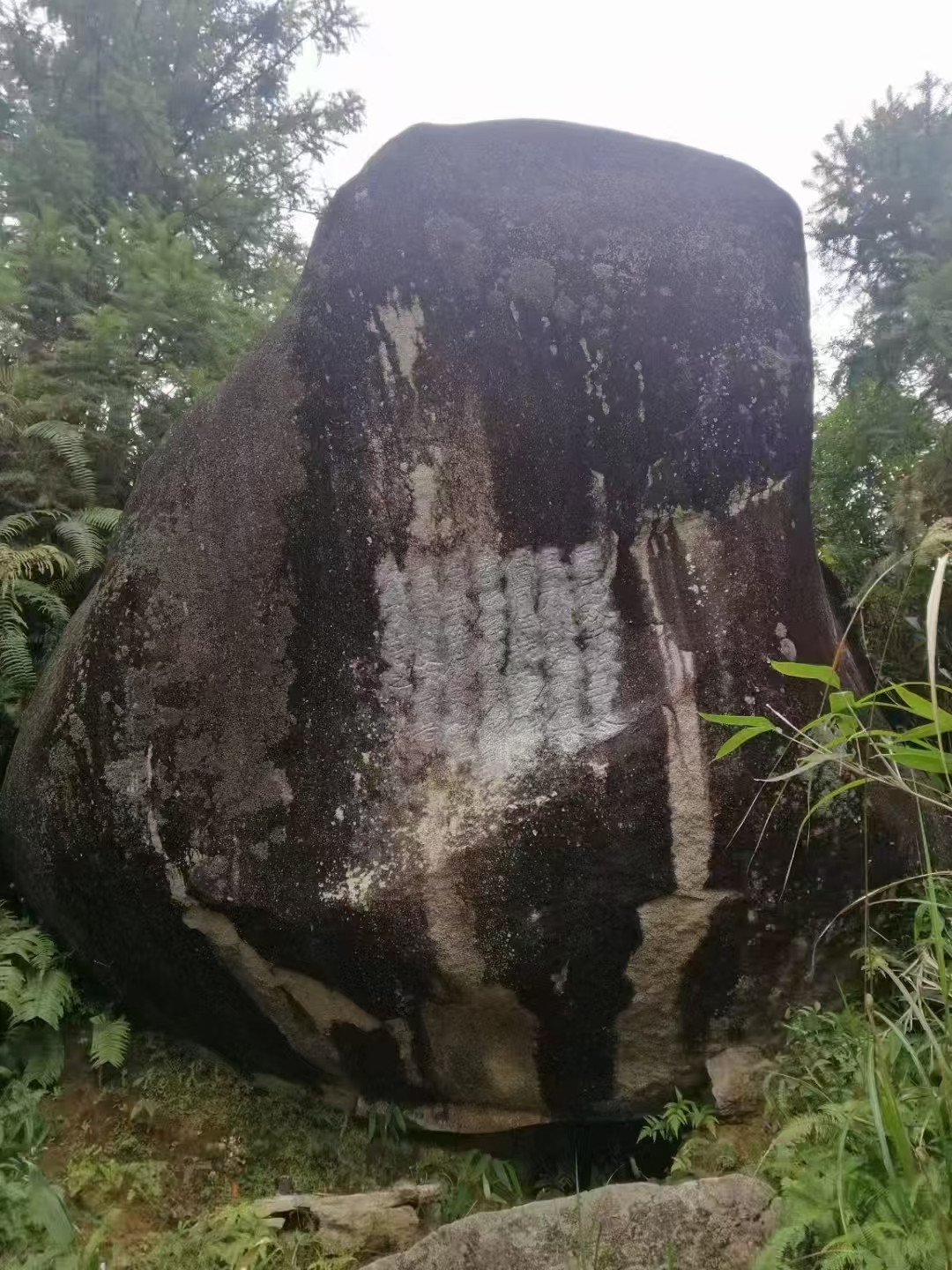 1752224840452531.jpg