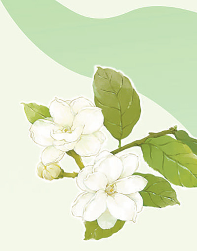 210ae49a-5c7b-43ea-b002-bcdccbab6e5e.jpg