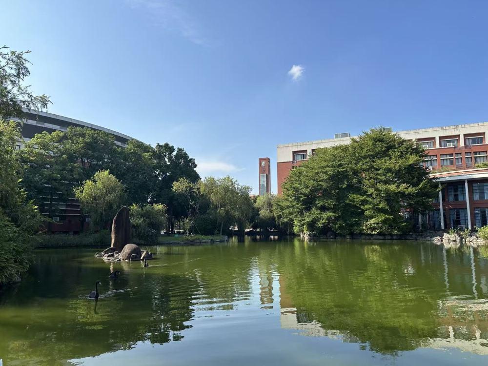 1760512465511535.jpg 1760512465511535.jpg