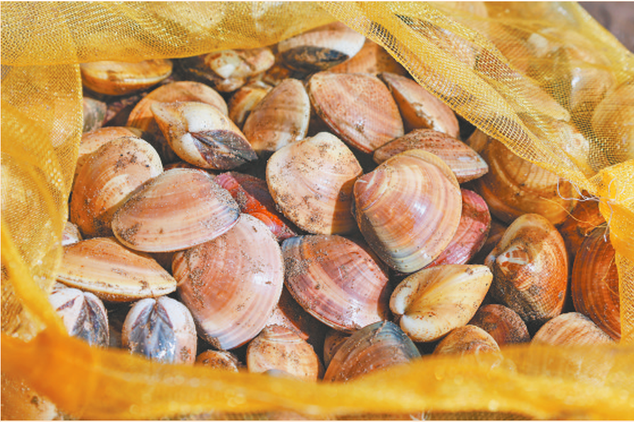 1760947532121360.png 1760947532121360.png