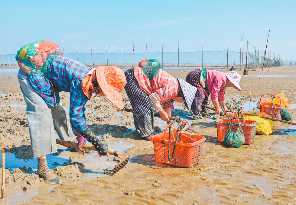 1760947555875707.png 1760947555875707.png